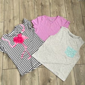 Bundle Girls T-shirts Size 14/16